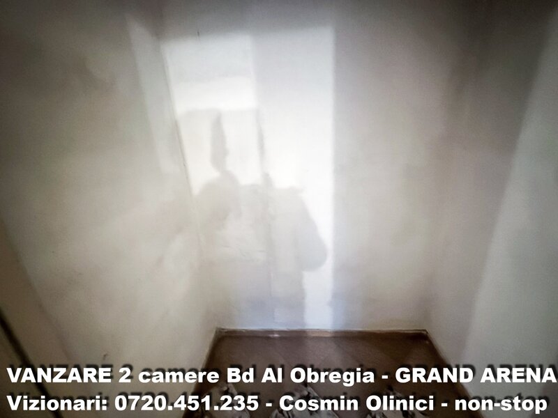 Alexandru Obregia, Grand Arena.